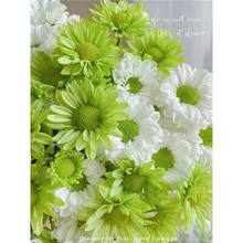 NСrճxջֲ҃Ȼ̫ꖻNļ_N