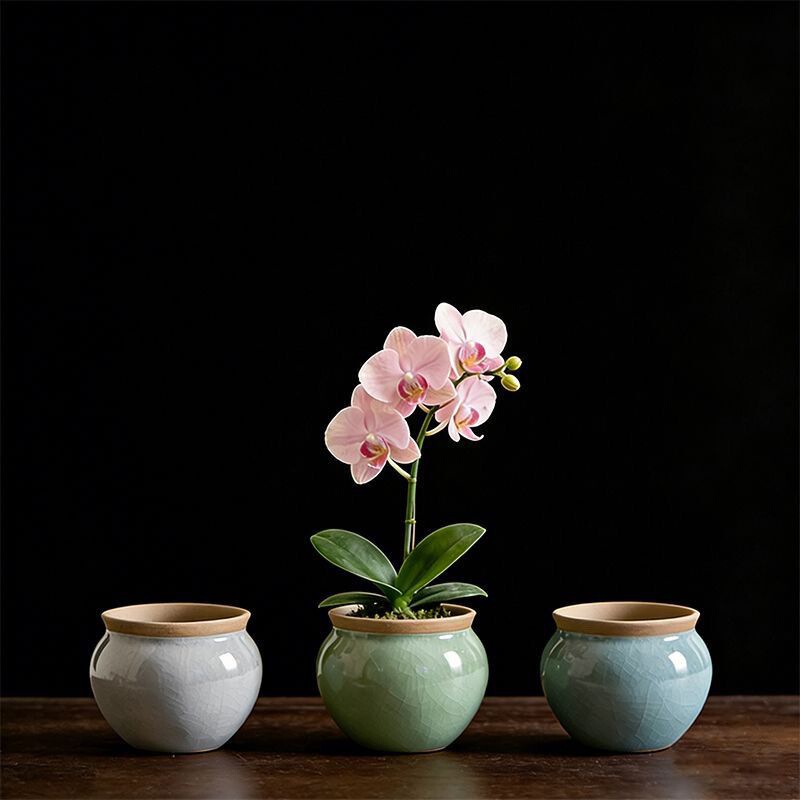 Ge Ware Succulent Flower Pot, Ceramic Chinese Style Creative and Unique Coarse Pottery for Succulent Plants, Orchids, Phalaenopsis, and Green Plants Ge Ware Succulent Flower Pot, Ceramic Chinese Style Creative and Unique Coarse Pottery for Succulent Plants, Orchids, Phalaenopsis, and Green Plants