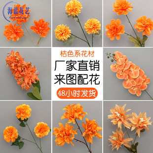 ��ɫ���滨��Y��������·����ˇ��c�廨�b����ٻ���ɫ����