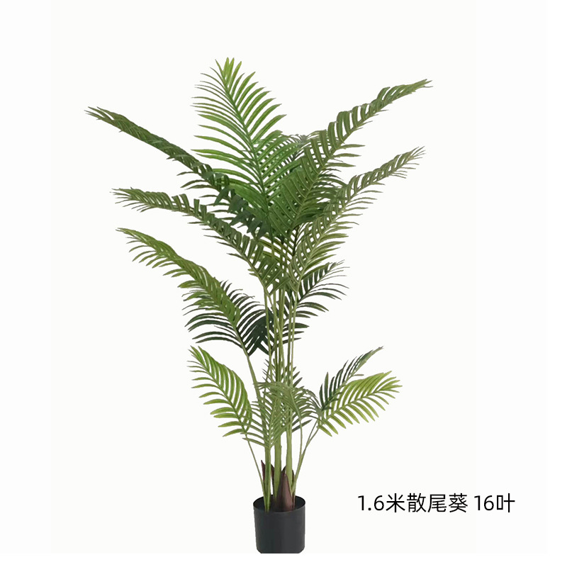 1.6米