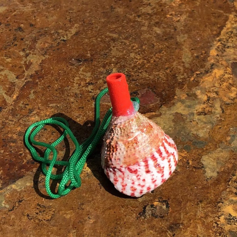 Pink tower whistle 5-6 cm