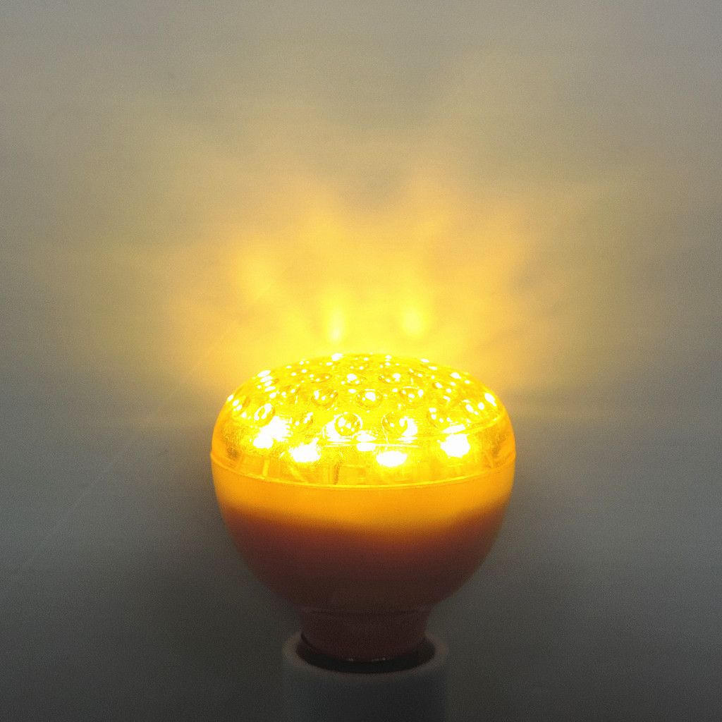 照片 239
