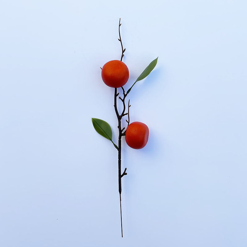 New year living room decoration simulation fruit high-end photography props fruit plant decoration red fruit simulation Persimmon_voghion.com