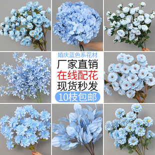 滨l{ɫcĽYbϲ廨ˇٻ