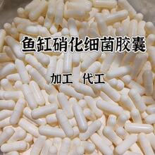 ɢ�b���������z�҃�ˮ��������ˮ���^�p�~��������ˮ���~��������