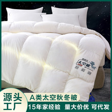新款加厚A类气凝胶太空被抗菌防螨加厚冬被芯单双人春秋冬被批发