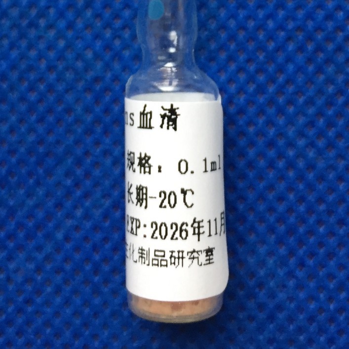 �࿹P-InsѪ��-1.0ML