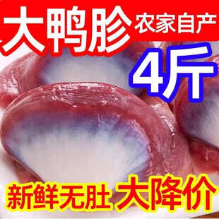 ������4�����r�ش�������θ������r��؛�����uζʳ�������