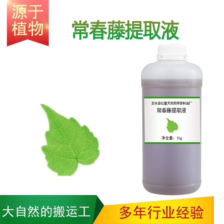 植物提取液 常春藤萃取液 常春藤提取液 护肤原料膏霜面膜乳液