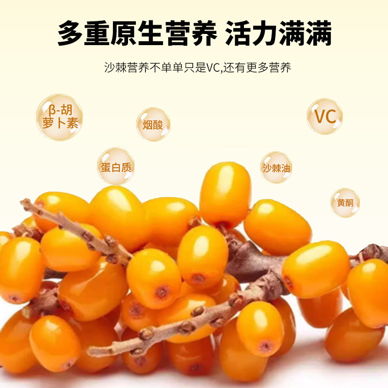北京同仁堂植物饮料规格多样蓝莓蔓越莓桑葚西梅沙棘原浆一件代发|undefined