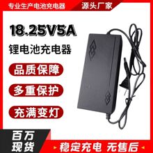 18V3A磷酸铁锂电池组充电器5串3.2V32650充满自停快充18.25V21V2A