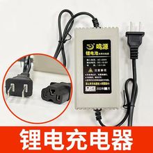 電動噴霧器配件 鋰電池通用充電器 農用打葯桶蓄電池鉛酸池充電器