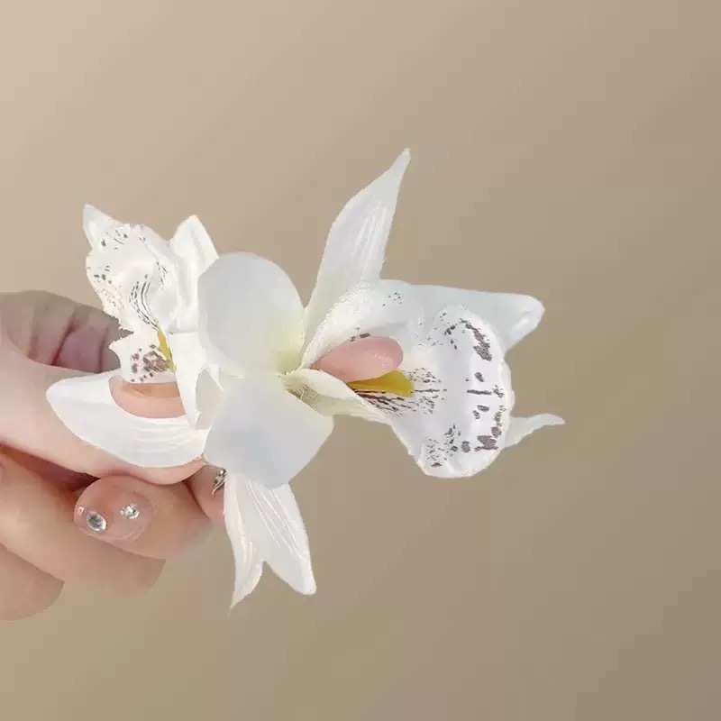 사이언스 블라썸 화이트