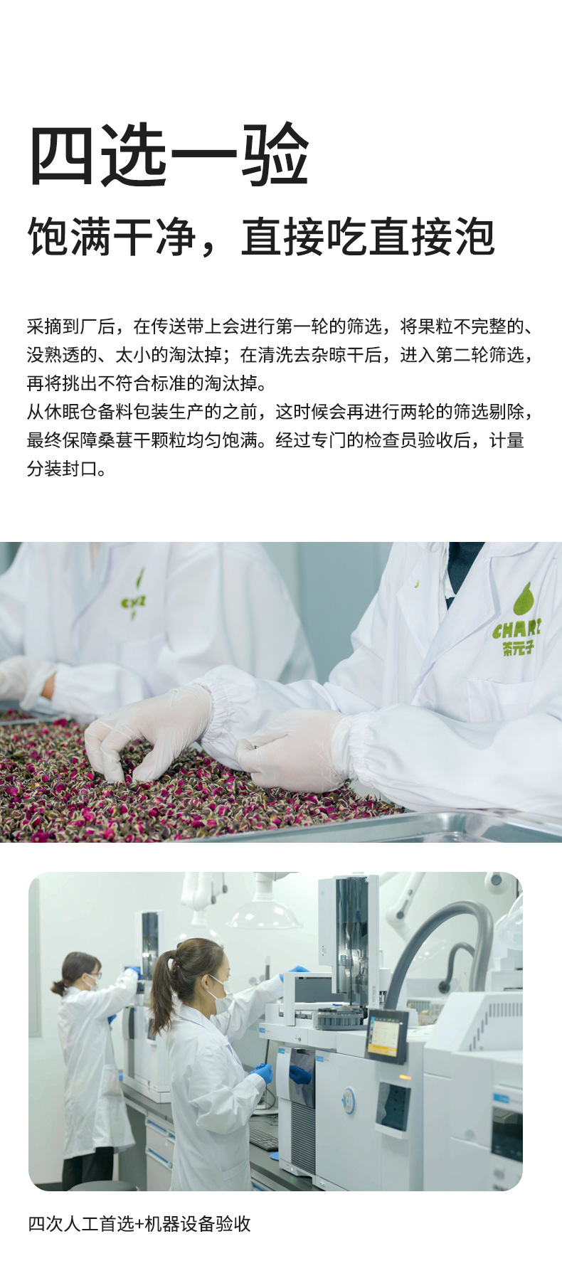 Dried Mulberry Fruit Tea Sang Shen Zi 400g Canister Sichuan Herbal Wellness Tea specifications