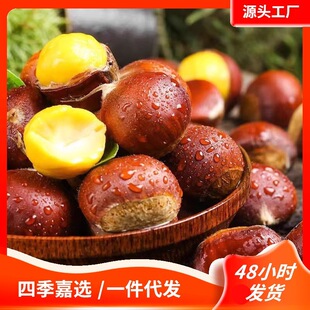 ���r���|��������5�ﮔ���r�ҬFժ������Ŵ�������r����Fժ���]