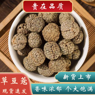 �V���ݶ�ޢ�����{��500����؛�ݿ����Ͽܲݿ۲�ߵ���ß����u����