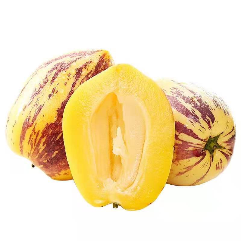 甘肃民勤人参果产地直发多汁人参果包邮应当季水果人参果一件代发