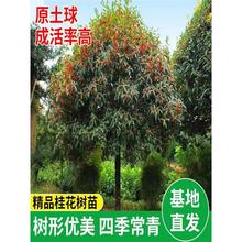 ͹𻨘S𵤹ͥԺeֲͺļG