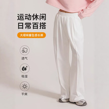 春夏新款女士时尚休闲裤 松紧高腰垂感舒适 通勤外穿直筒阔腿长裤