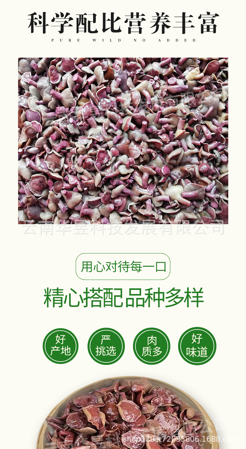 红乳牛肝菌详情_02