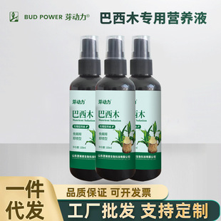 Bud Power Home Gardening Brazilian Wood Dilution-Free Nutrient Solution Balcony Potted Garden Ground Planting Liquid Fertilizer Flower Fertilizer