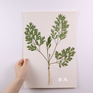 ֲ��˱������^�[��̨�ϵĒ���˱��쮋ʮȫ���a��չʾ��