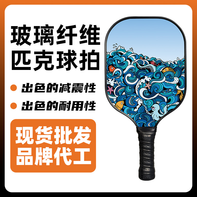 Pickleball Racket Fiberglass Complete Set for Children and Adults Professional Competition Paddle Racket