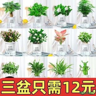 �҃Ȼ����k���ҾGֲ����ˮ����B�k�����͏dС�����_���G�}�lؔ��