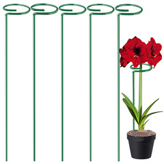 【卸売リンク】植物サポート、アジサイスタンド、バラ倒れ防止アイアンサポートフラワースタンド