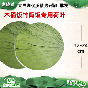Круглый диаметр листьев лотоса 12-24㎝ Завод непосредственно поставьте озеро Тайбай на озере сушено