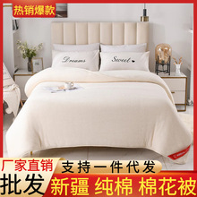 �½��޻����L�q�޶����ޱ��Ӻ�ů��̥�������˱��챻о���l����