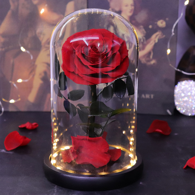 Christmas Gift LED Illuminated Eternal Flower with Lamp Little Prince Glass Dome Ornament Rose Flower Thanksgiving Wholesale