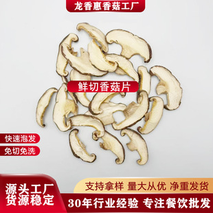 �㹽��Ƭ���{���㹽Ƭ�㹽�l��؛�������l����Ģ��Ƭ�����������{