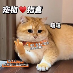 ネットの赤い猫の小さい手袋のミニは猫の棒の赤い本をからかいます。