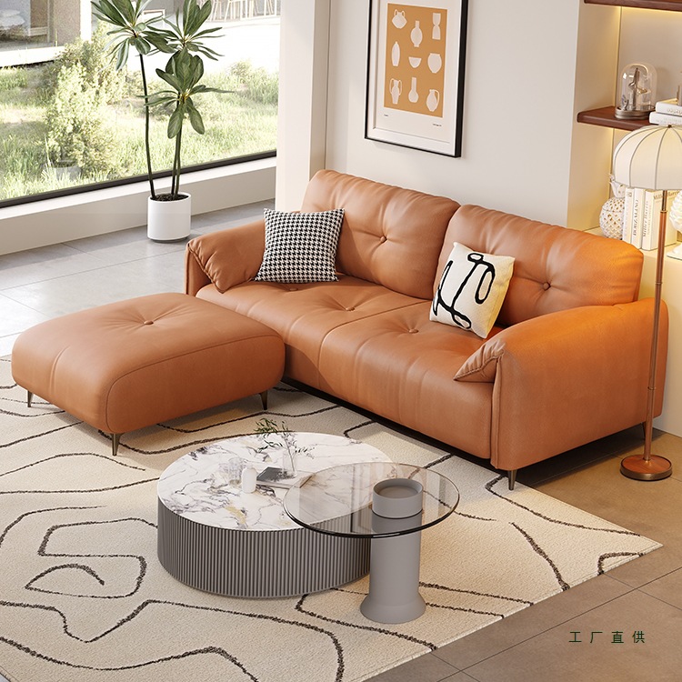 Small Apartment Sofa for Living Room, Cat Claw Resistant Fabric, 2026 New Model, Two-Seater, Three-Seater, Simple Style for Rental Apartments [Quality]