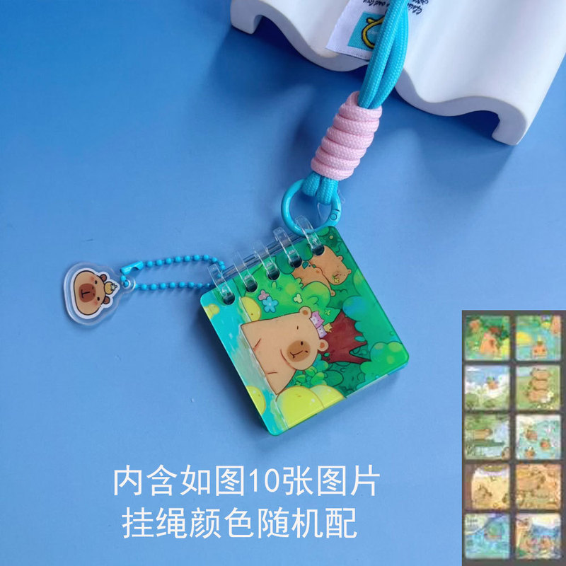鞠婧祎少年团白鹿宋雨琦明星周边亚克力相册挂件拼色挂绳包挂饰|undefined