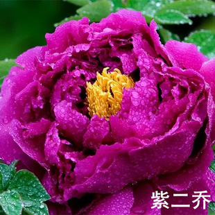 ĵ����������箔���_���ʝ������^�p����ͥԺ�ذ������ꖼtɫ