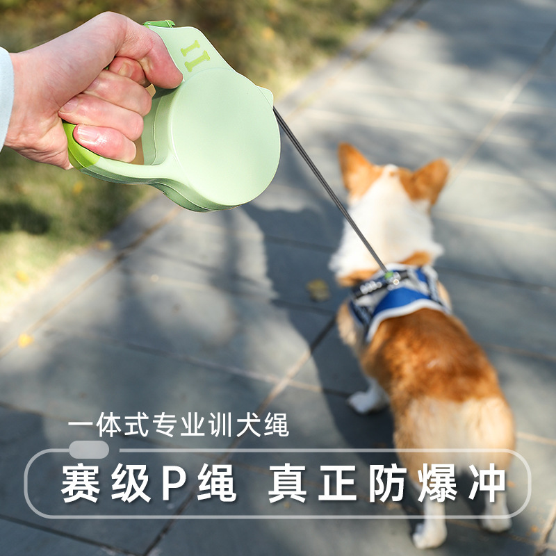 犬用リード、犬用リード、犬用散歩ロープ、自動格納式小型・中型犬用ペット柴犬子犬コーギー犬用リード|undefined
