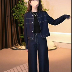 跨境大码胖MM新款套装女 2025早春秋轻奢气质显瘦牛仔套装女装款