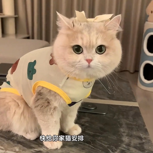 ؈���·���u�Ӵ������ë�ļ��������Č�����Ĳ�żСȮ��؈����