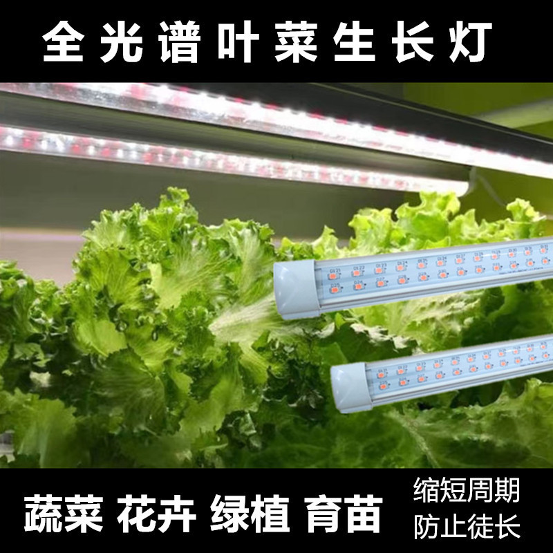 Plant Light Growth Light LED Full Spectrum Sun-like Indoor Household Flower Illumination Light Coloring Leaf Vegetable Supplementing Light