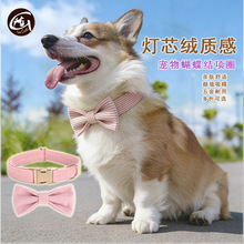 ��о�q���Ȧ�ɲ�ж�����Y�����K���b�\�������Ȧ����羳Դ�^�S