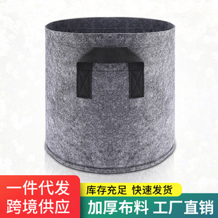 �羳���ڷN��ֲ���N��ֲ����Ӻ�o����ë������Pgrow bag�I�B��