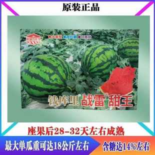 �X��������������ϷN�ӿ����߮a�̙E�A���������ϷN���ϱ�������
