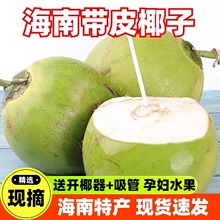 海南带皮椰青当季新鲜椰子现摘现发纯天然热带水果孕妇补羊水