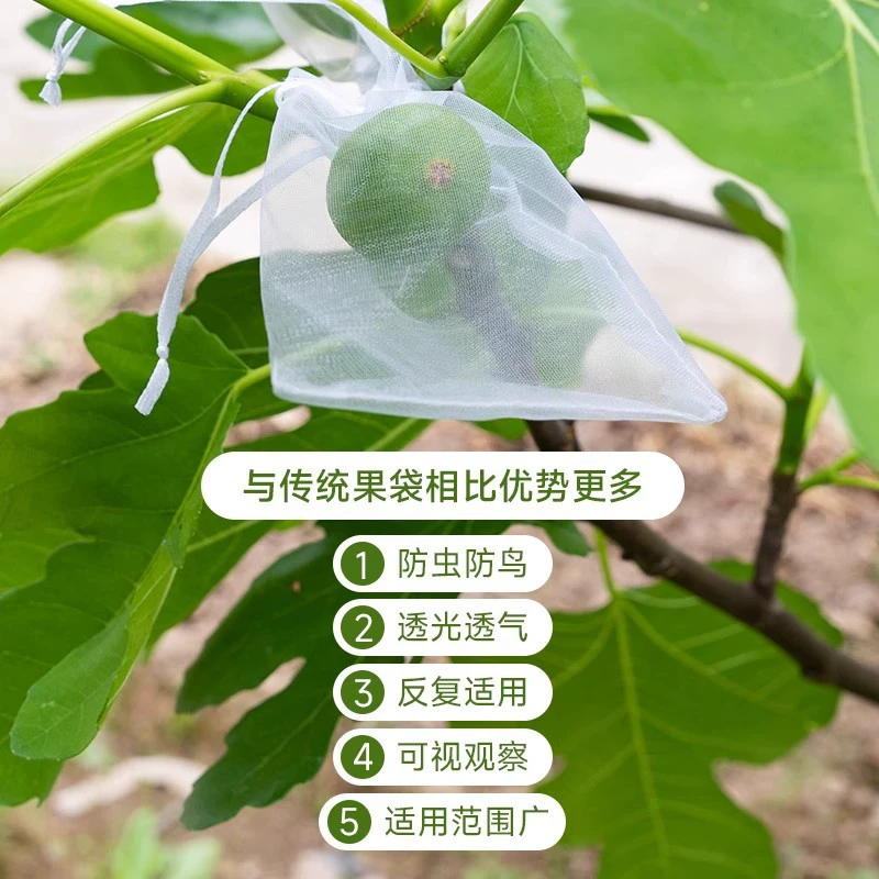 Сетчатый мешок для фруктов, защита от птиц, мешок для защиты от насекомых для дынь и фруктов, инжира, нони, винограда, персика, клубники