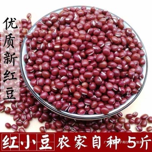5��t���r�Җ|��С�t��޲�׼t��С������s�Z�I�B���{2���Ї����