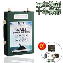 锂电池瓶12V大容量60安100AH动力三元200ah户外磷酸铁锂超轻便携