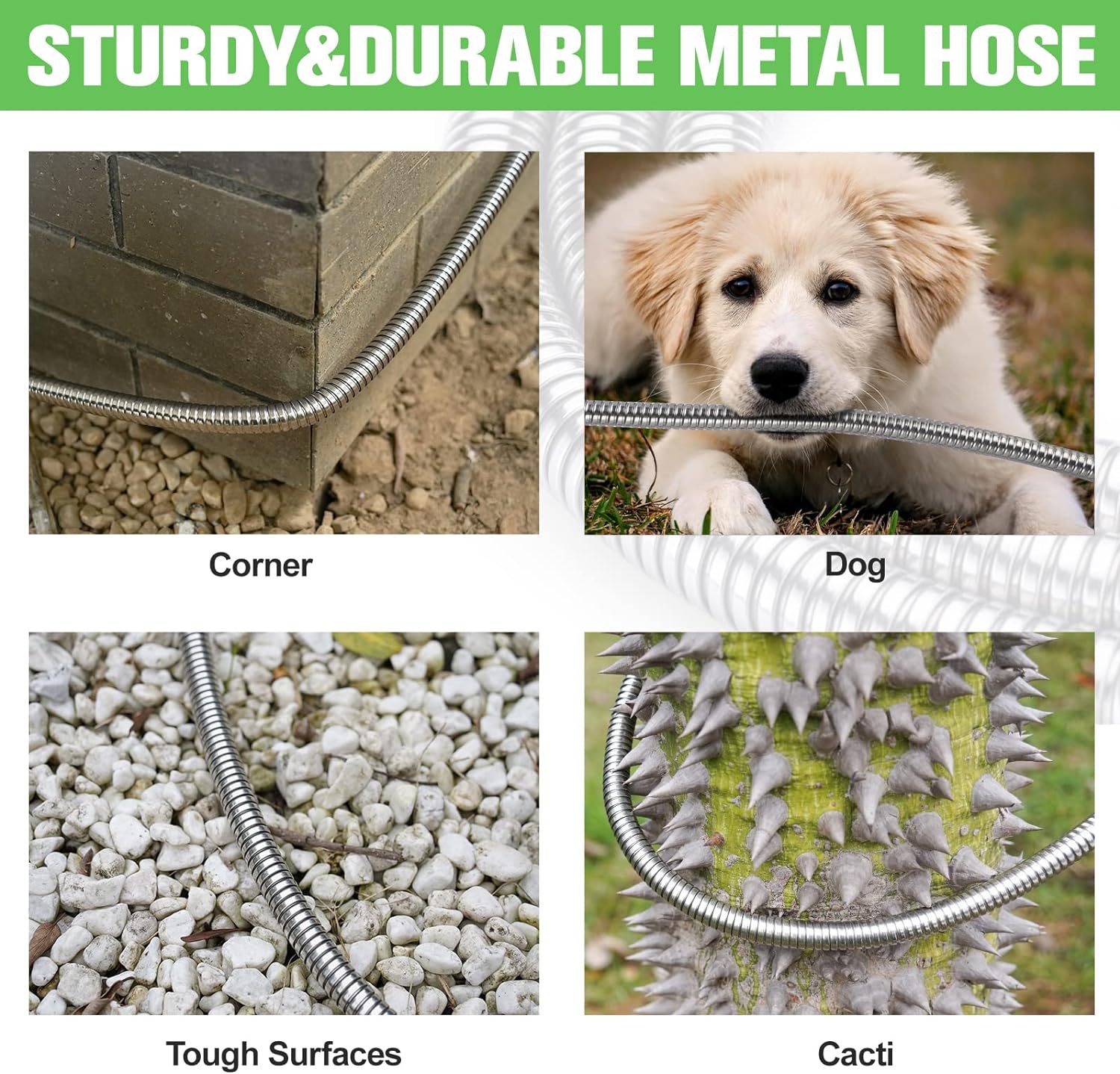 81uqe9FFrXL._AC_SL1500_