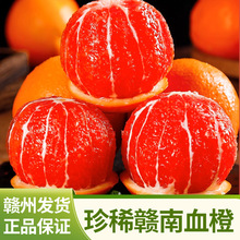 【中华血橙】赣南血橙红肉橙子当季新鲜水果红心脐橙整箱批发包邮